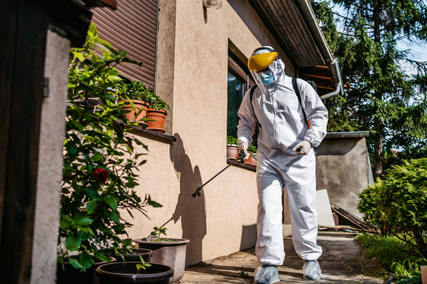 Best Affordable Pest Control Services  in Deatsville, AL