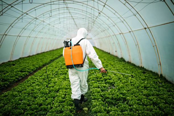 Best Residential Pest Control  in Deatsville, AL