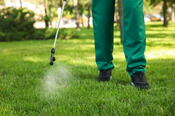 Best Local Pest Control Services  in Deatsville, AL