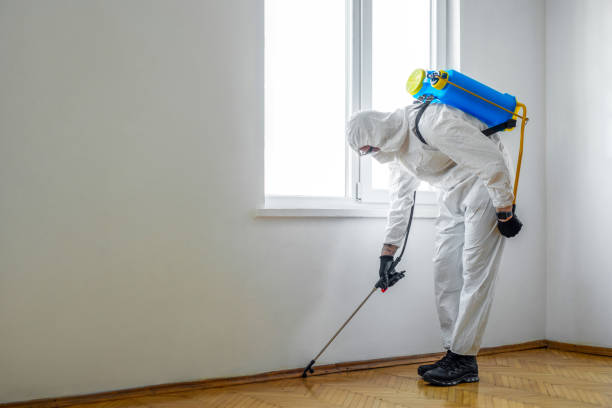 Best Emergency Pest Control  in Deatsville, AL