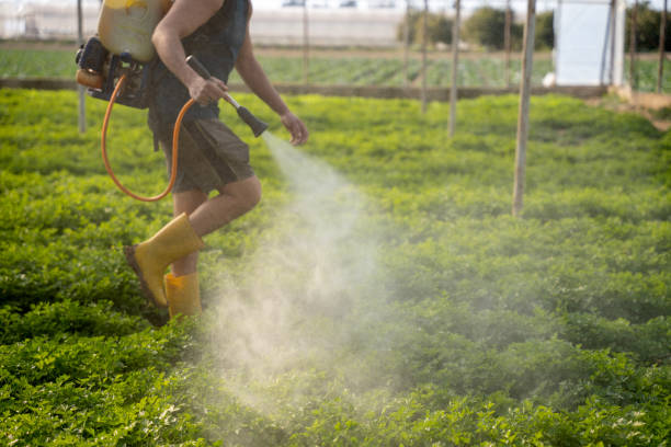 Best Pest Control Near Me in Deatsville, AL