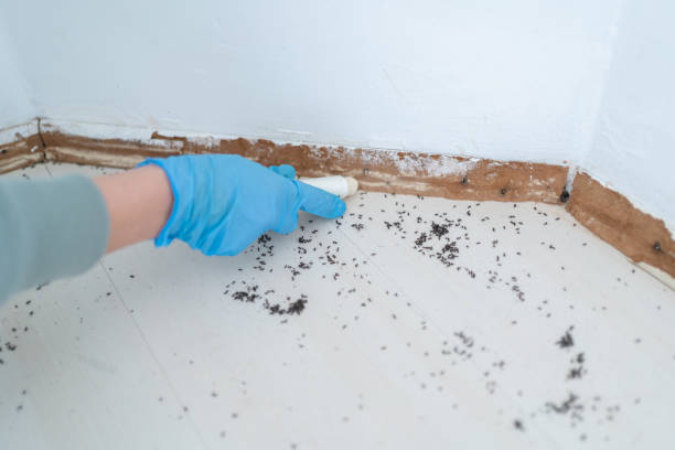 Best Pest Prevention Services  in Deatsville, AL